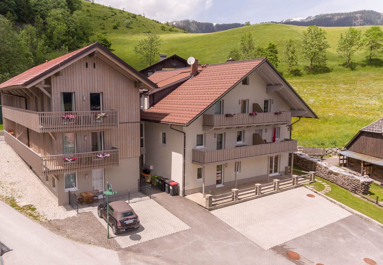 Exterior view from above of the holiday home Grimming Lodge Goldrute in Tauplitz