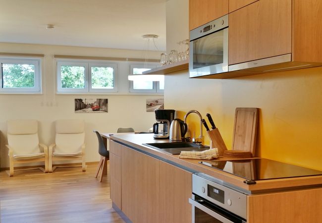 Apartment in Schladming - Apartment Fastenberg Top 11 Apartment in Schladming - Apartment Fastenberg Top 11