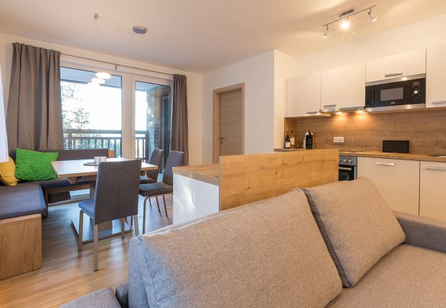 Apartment in Schladming - Apartment Fastenberg Top 2 Apartment in Schladming - Apartment Fastenberg Top 2