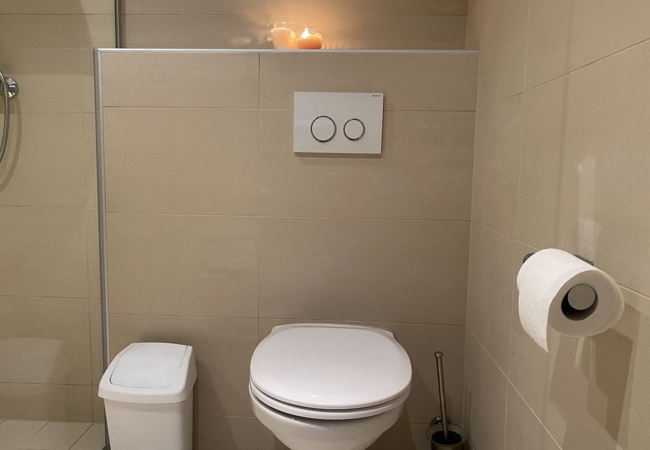 Bathroom with Toilet in the holiday home flat Alpine Studio Apartment in the Schladming Dachstein Region