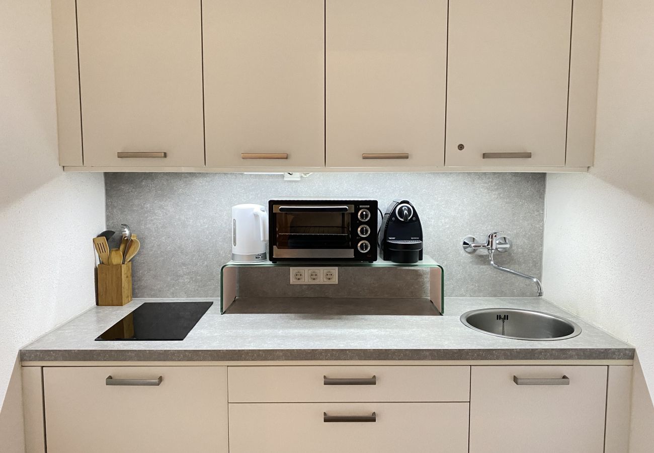 Kitchen in the holiday home flat Alpine Studio Apartment in the Schladming Dachstein Region