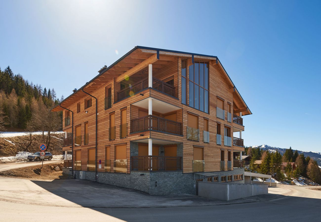 Exterior appearance with view over the mountains in the holiday home flat Fastenberg Top 3in the Schladming Dachstein Region