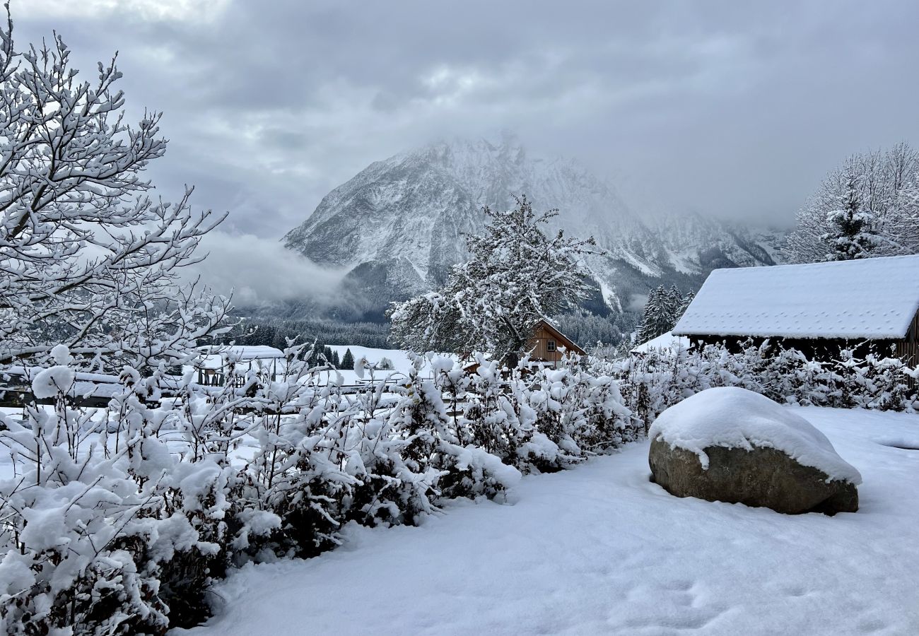 Apartment in Tauplitz - HILL - 73