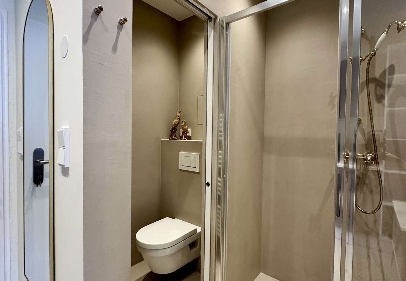 Apartment in Bad Aussee - Sissi´s Paradies Appartement - Bad Aussee City