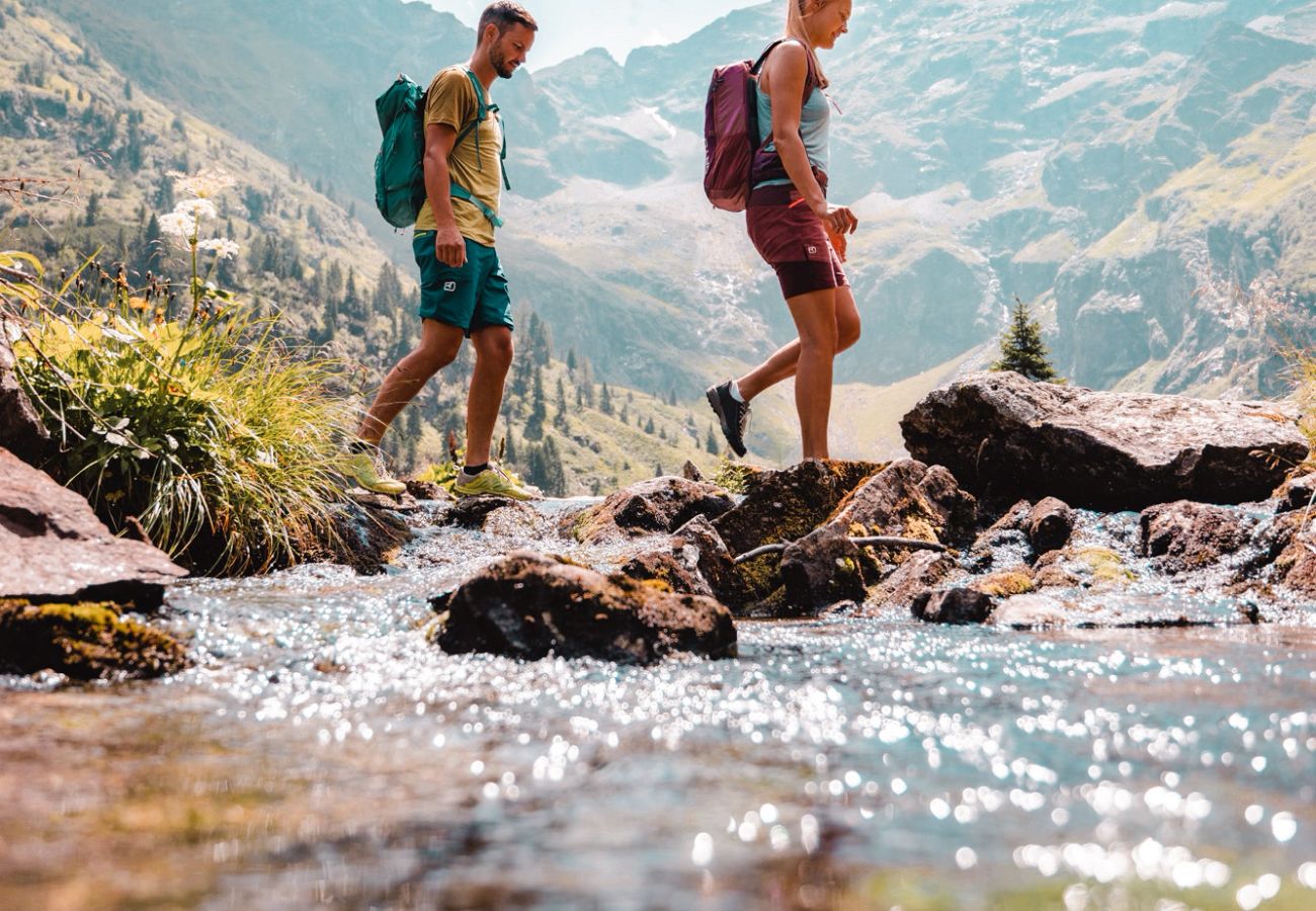 Cottage in Haus im Ennstal - CHILLHAUS Pear Mountain