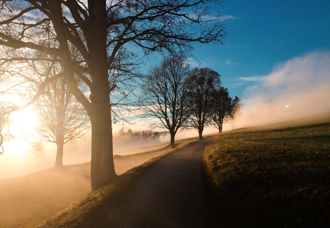 Cottage in Haus im Ennstal - CHILLHAUS Pear Mountain