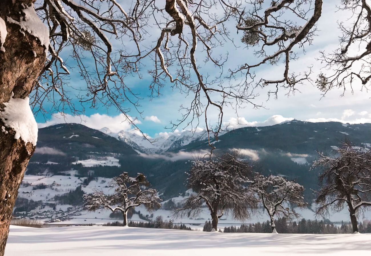 Cottage in Haus im Ennstal - CHILLHAUS Pear Mountain