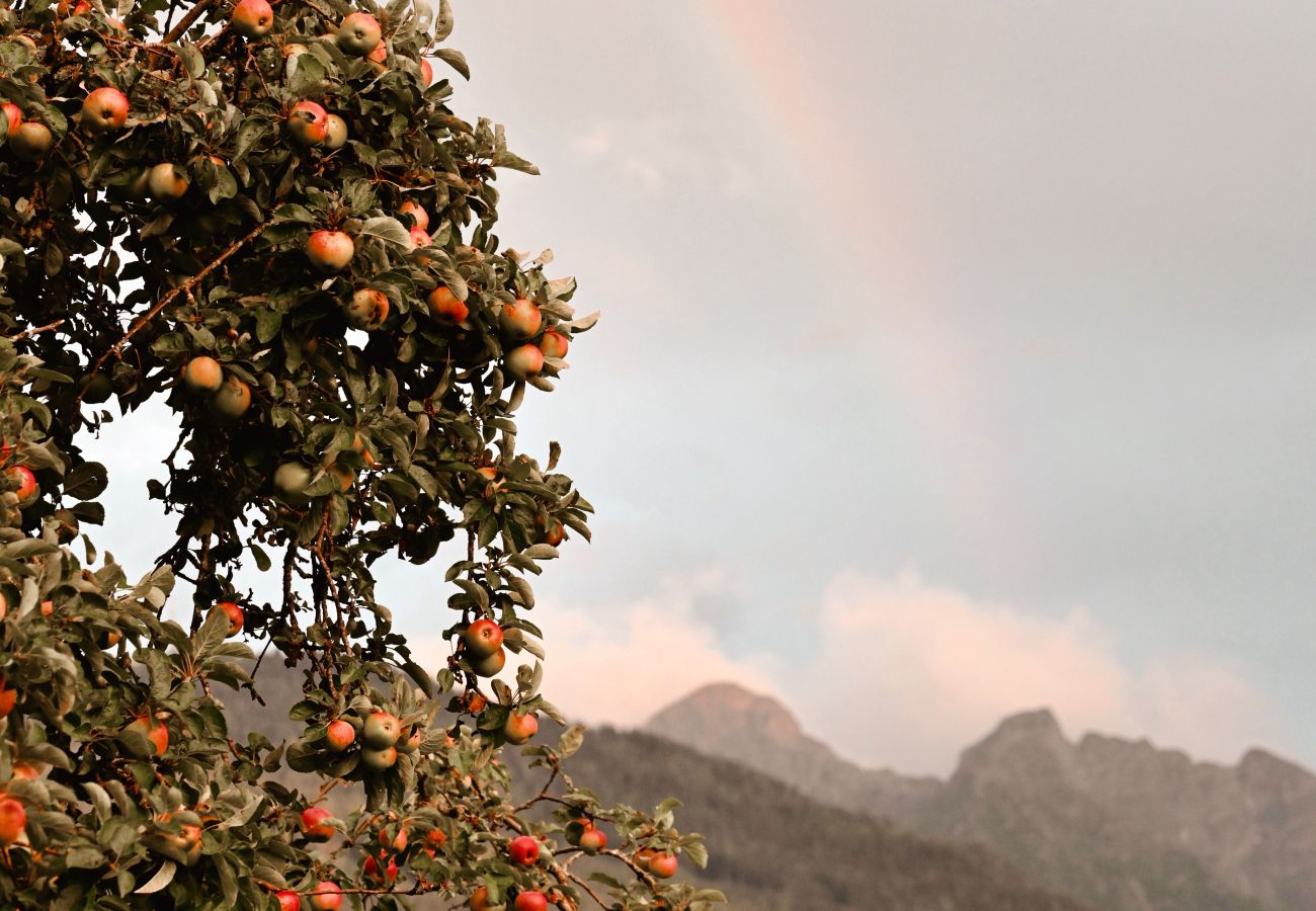 Cottage in Haus im Ennstal - CHILLHAUS Pear Mountain