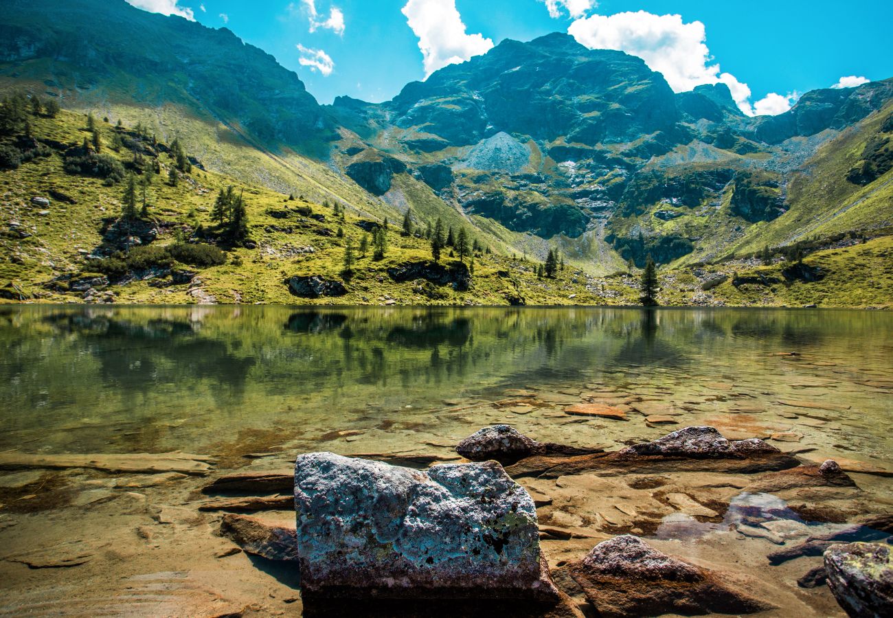 Cottage in Haus im Ennstal - CHILLHAUS Pear Mountain