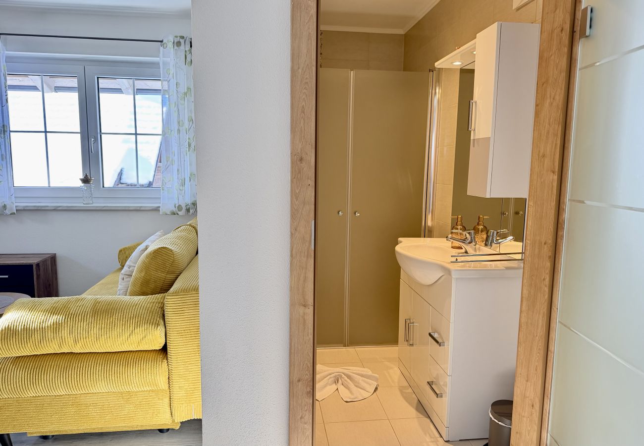 Apartment in Haus im Ennstal - Feel Free 95 Apartment