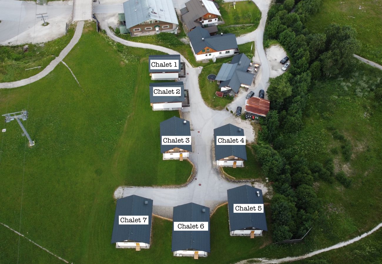 Chalet in Altaussee - Hideaway Chalets Loser - 1