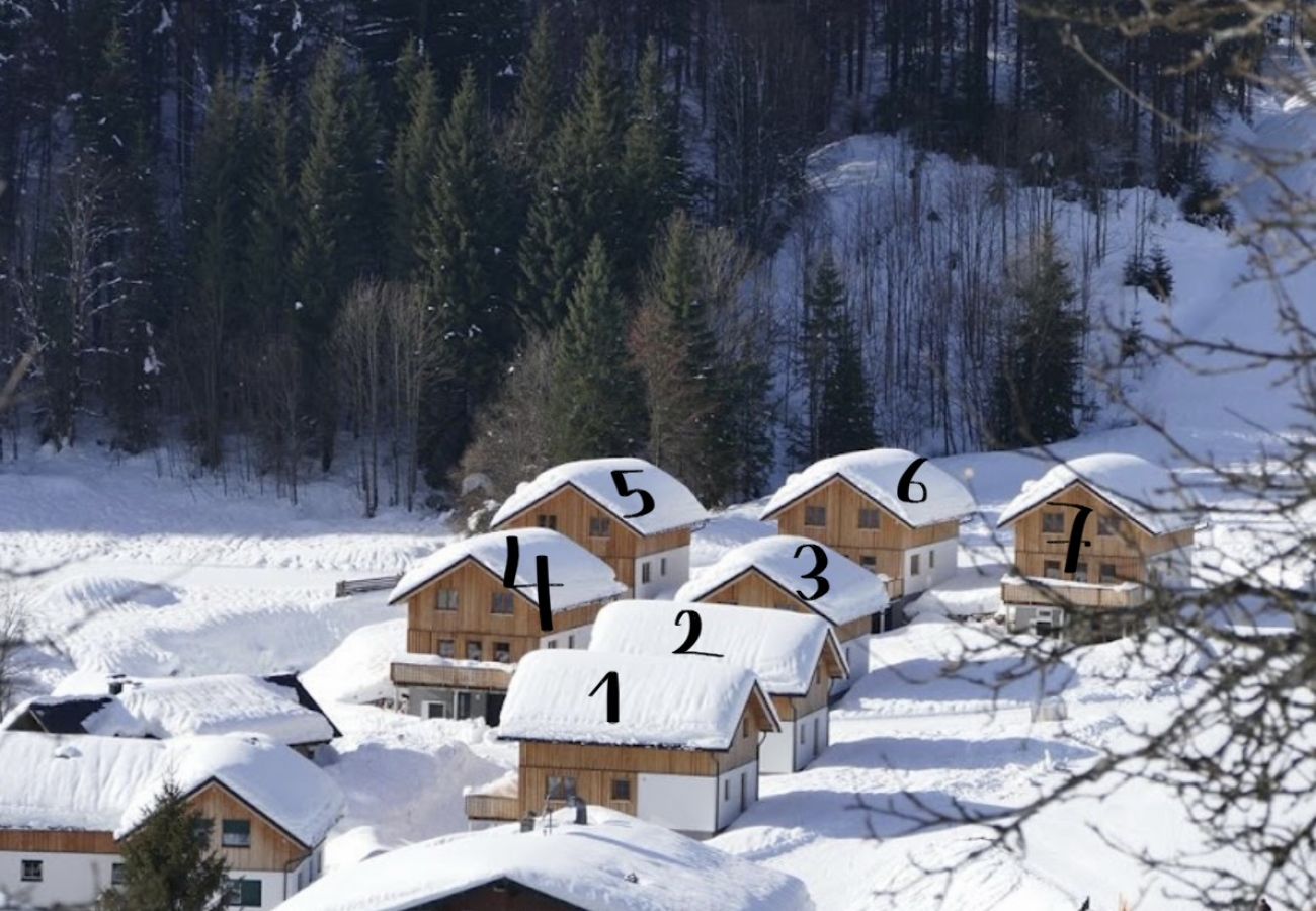Chalet in Altaussee - Hideaway Chalets Loser - 1