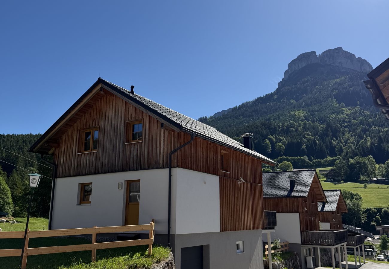 Chalet in Altaussee - Hideaway Chalets Loser - 1