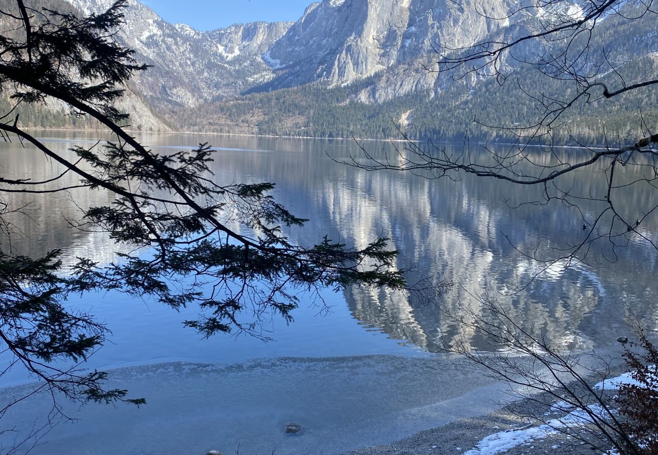 Chalet in Altaussee - Hideaway Chalets Loser - 1