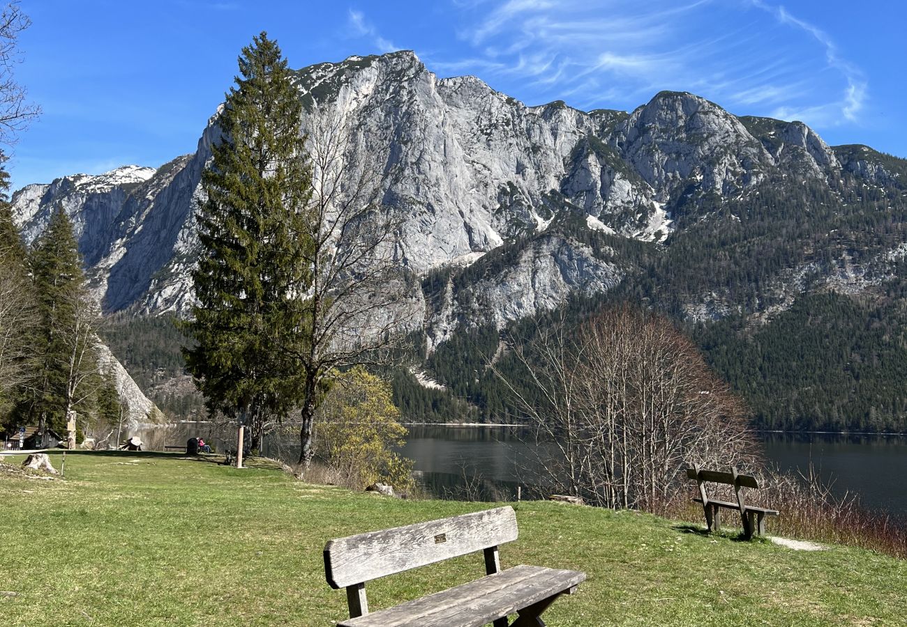 Chalet in Altaussee - Hideaway Chalets Loser - 1
