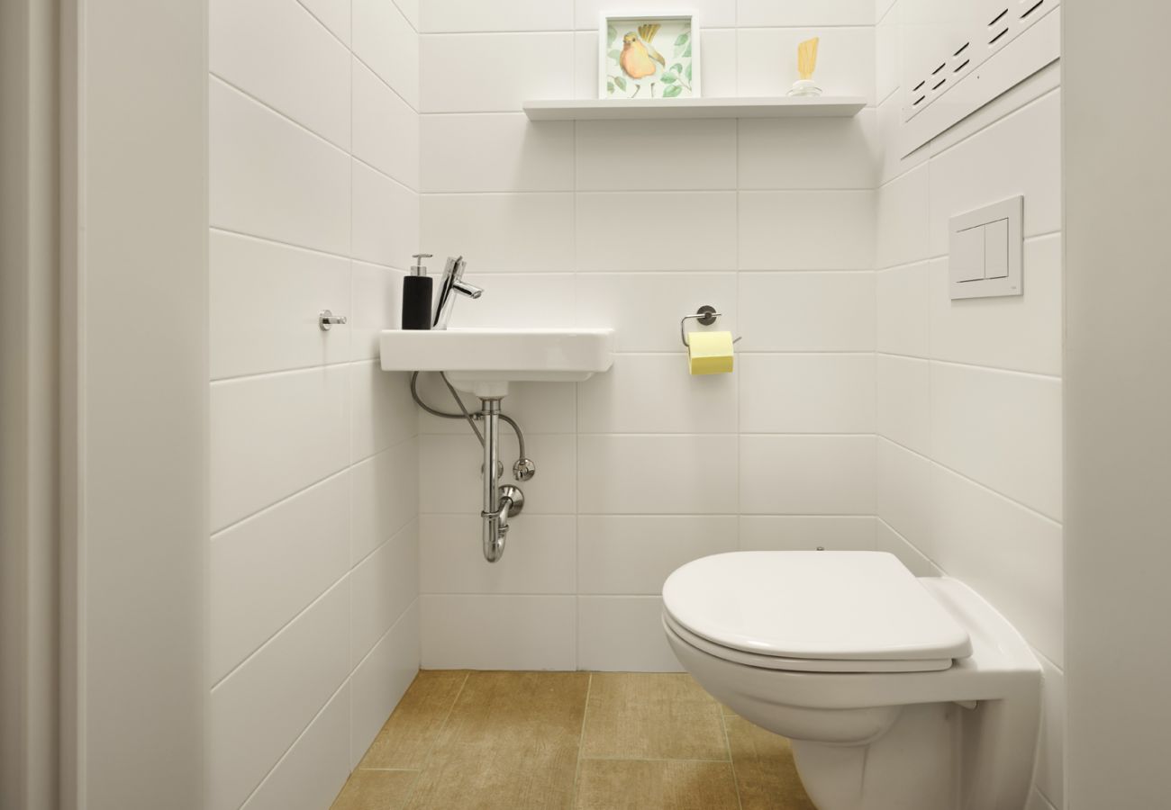 Gäste Wc in der Ferienwohnung Alm Lodge A5 in Tauplitz