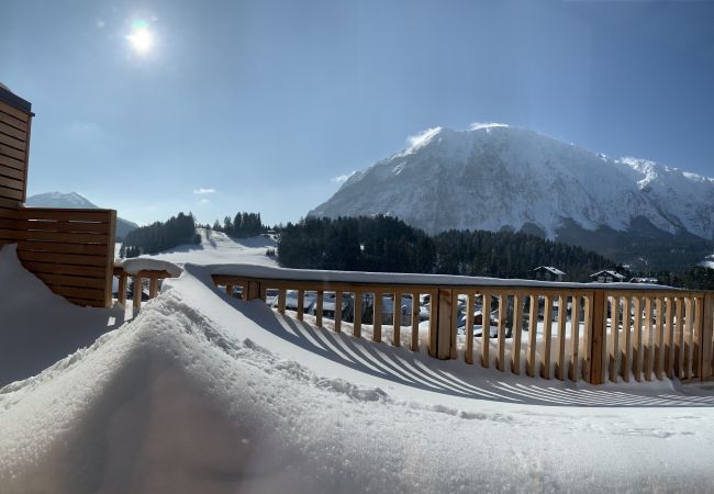 Ferienwohnung in Tauplitz - Penthouse Grimming D7.1