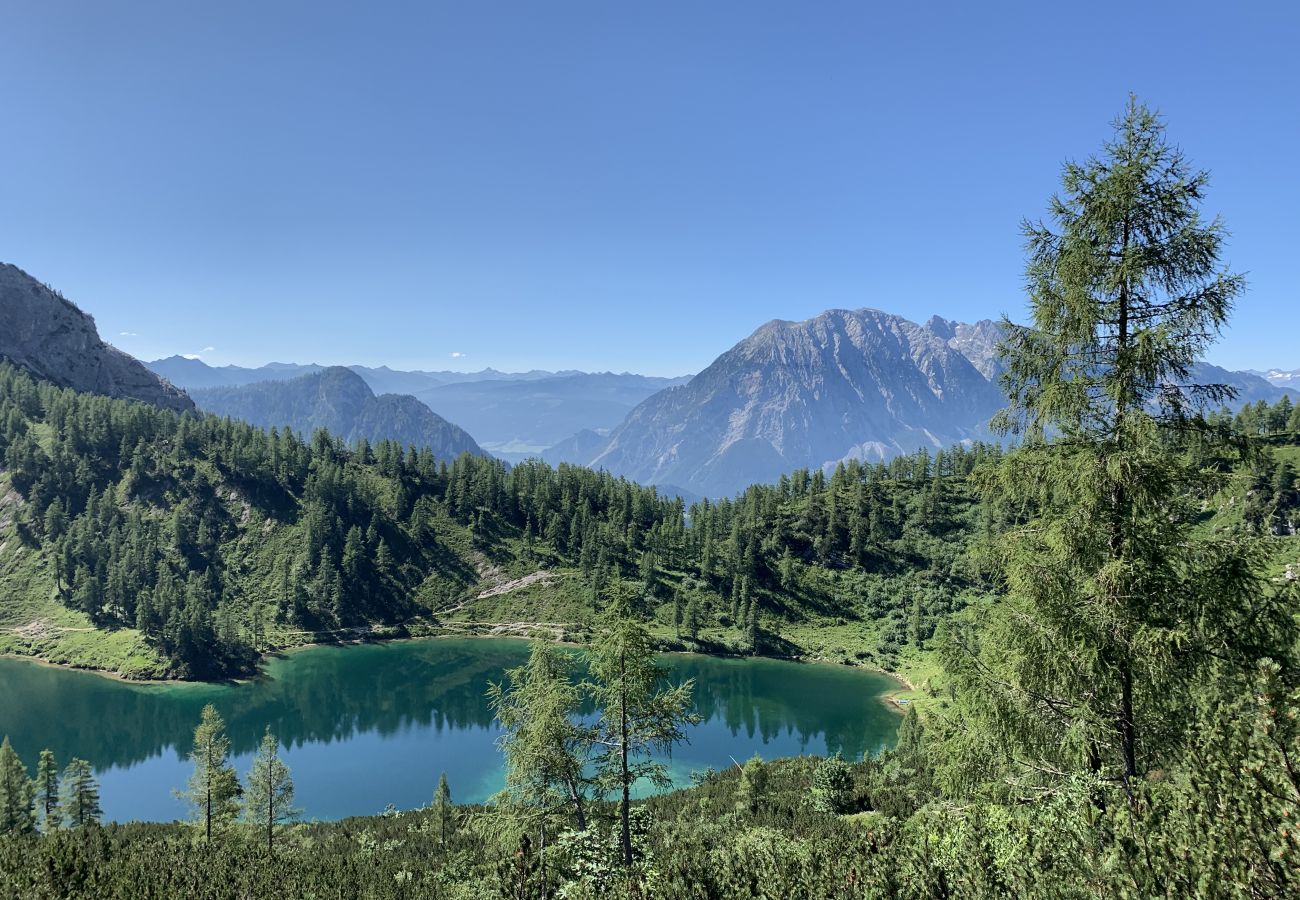 Ferienwohnung in Tauplitz - Penthouse Grimming D7.1