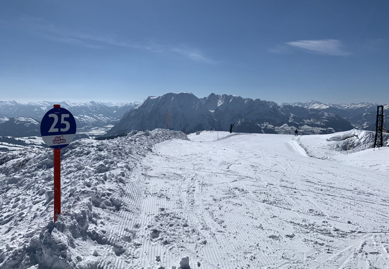 Ferienwohnung in Tauplitz - Penthouse Grimming D7.1