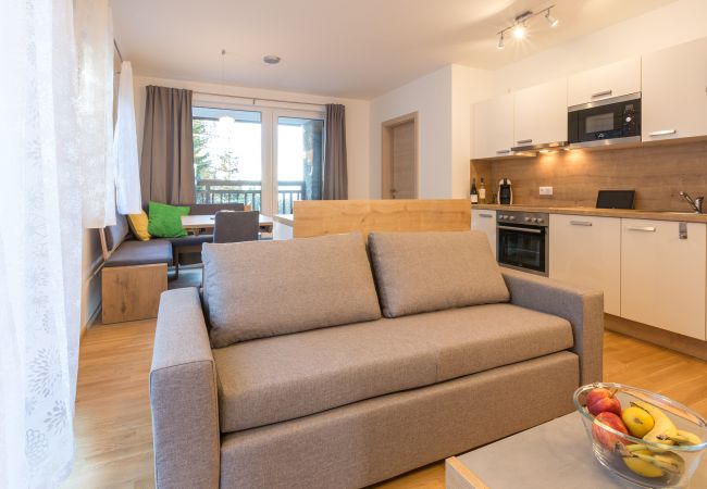 Ferienwohnung in Schladming - Apartment Fastenberg Top 2