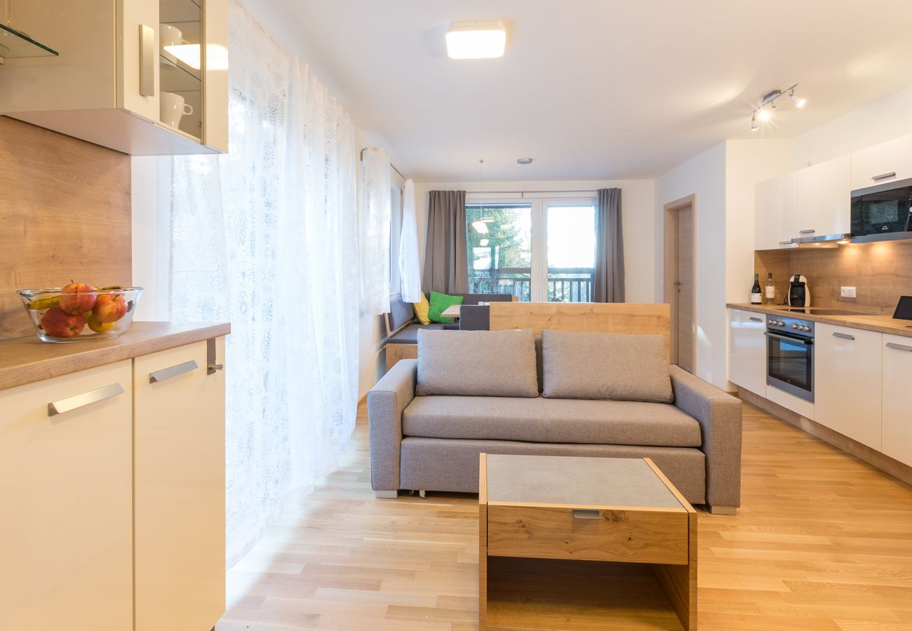 Ferienwohnung in Schladming - Apartment Fastenberg Top 2