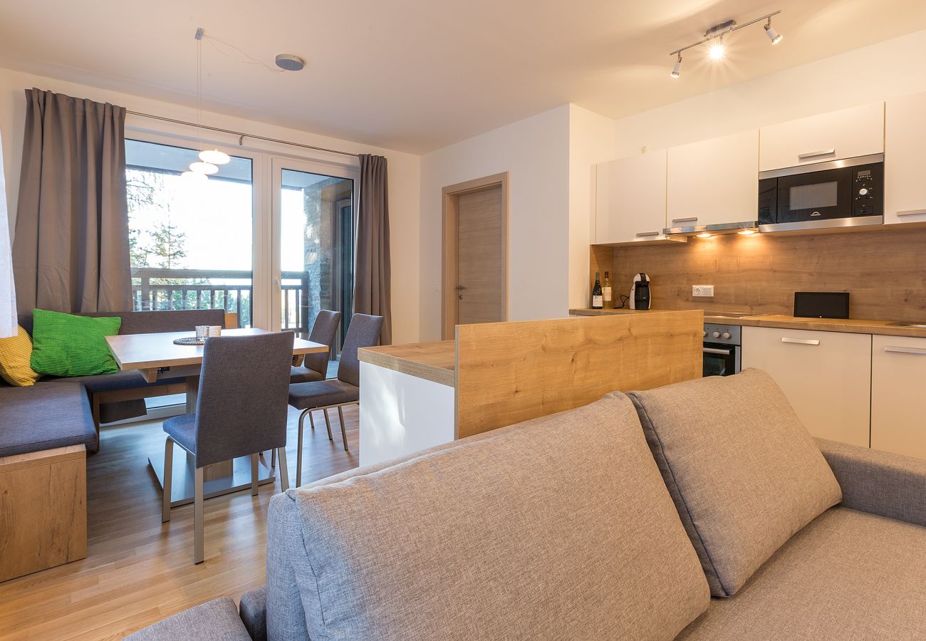 Ferienwohnung in Schladming - Apartment Fastenberg Top 2