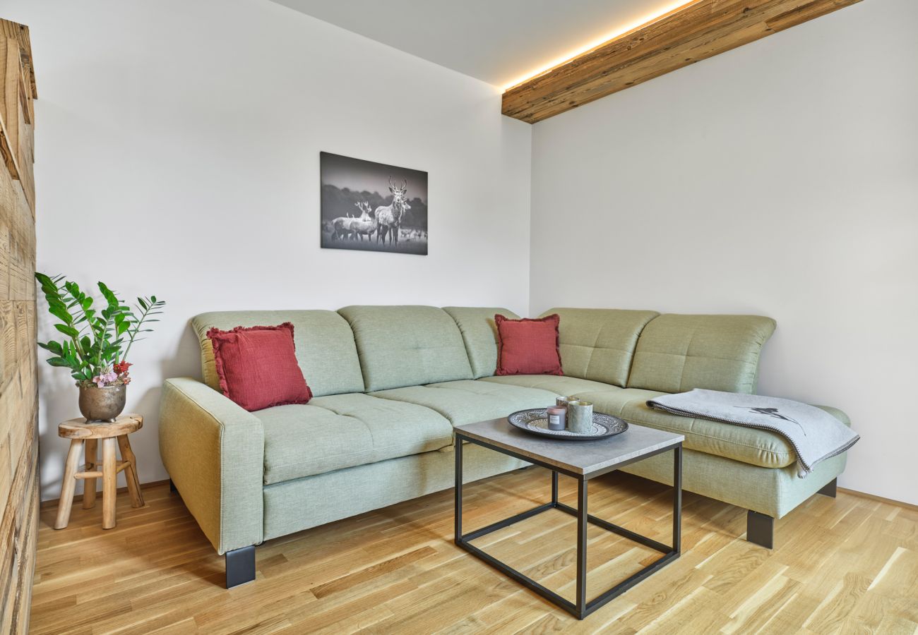 Wohnung in Tauplitz - The Spa Suite Top 3 - Tauplitz Residences