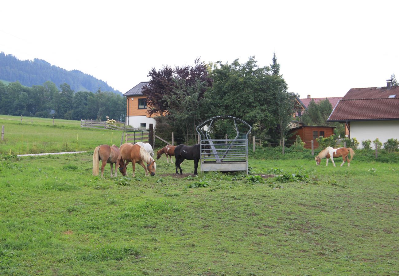 Chalet in Aich-Assach - The Villa - Glücksthaler Aich