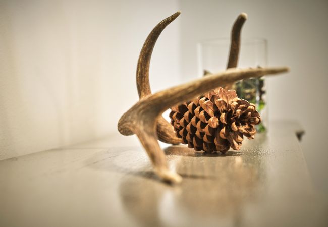 Ferienwohnung in Tauplitz - The Tauplitz Suites - Alpine Suite B4 Ferienwohnung in Tauplitz - The Tauplitz Suites - Alpine Suite B4