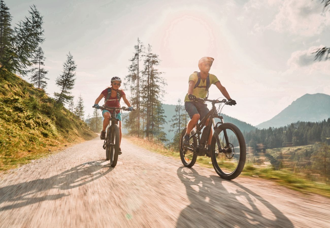 Landhaus in Haus im Ennstal - CHILLHAUS Pear Mountain