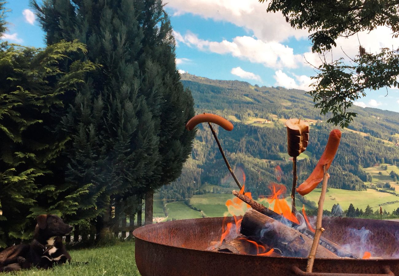 Landhaus in Haus im Ennstal - CHILLHAUS Pear Mountain