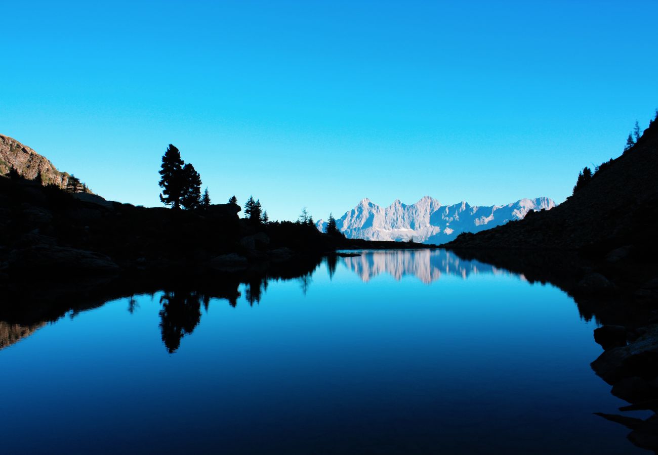 Landhaus in Haus im Ennstal - CHILLHAUS Pear Mountain