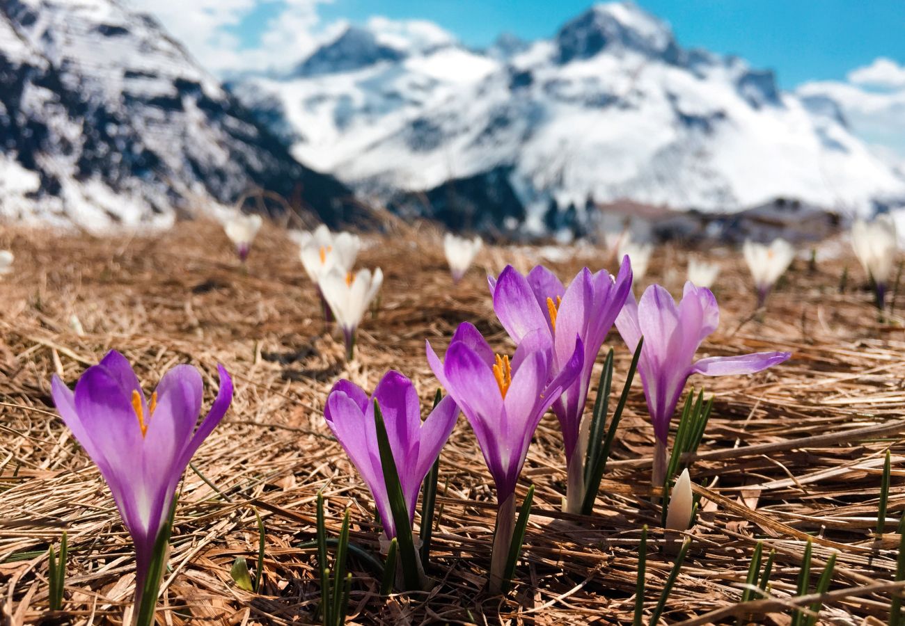 Landhaus in Haus im Ennstal - CHILLHAUS Pear Mountain
