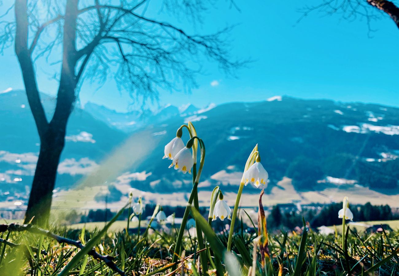Landhaus in Haus im Ennstal - CHILLHAUS Pear Mountain