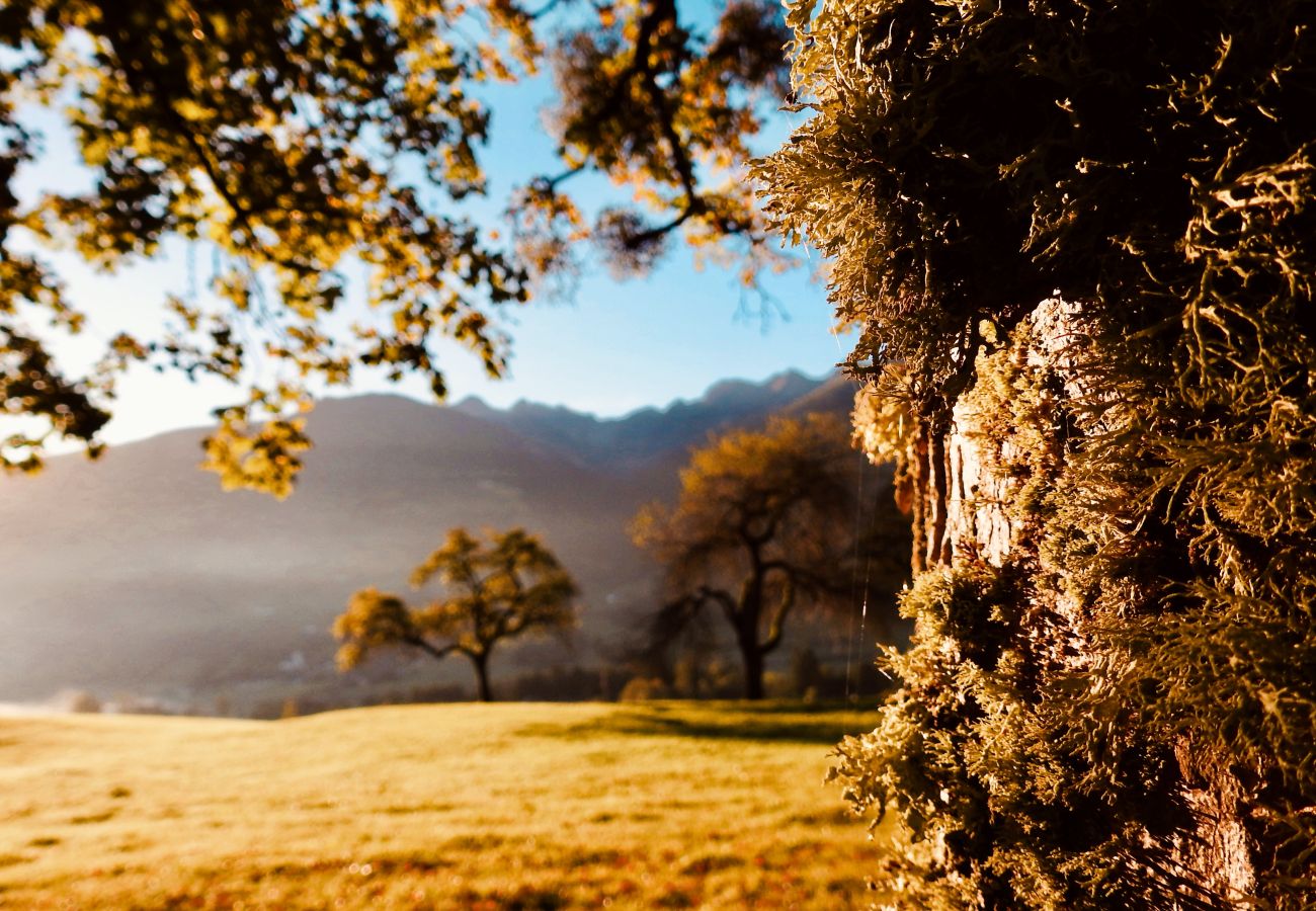 Landhaus in Haus im Ennstal - CHILLHAUS Pear Mountain
