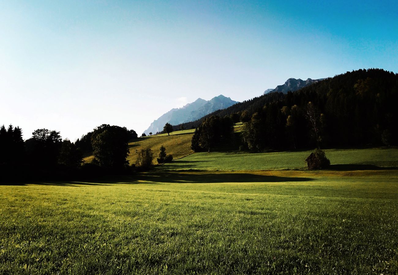 Landhaus in Haus im Ennstal - CHILLHAUS Pear Mountain