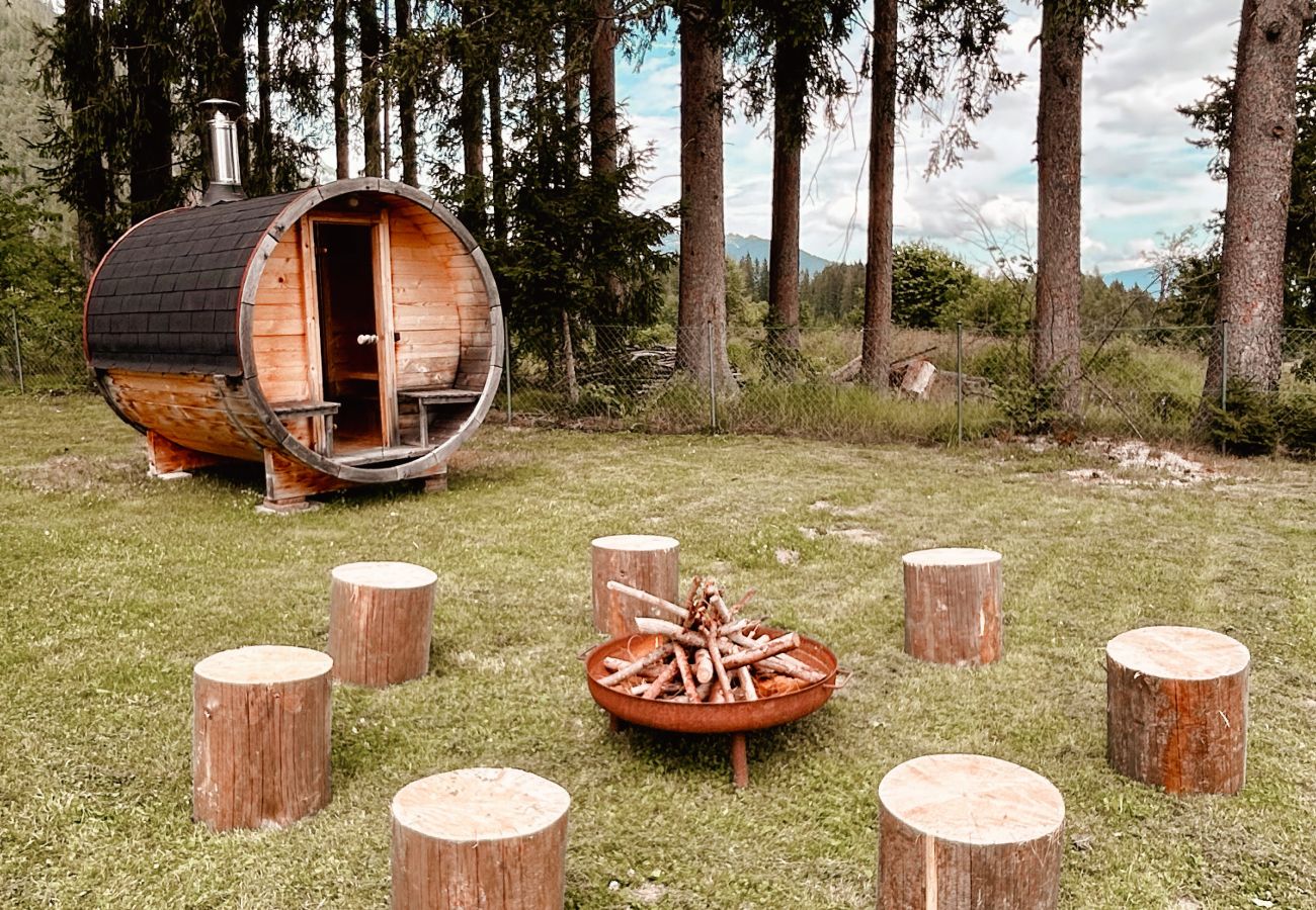 Landhaus in Haus im Ennstal - CHILLHAUS Pear Mountain