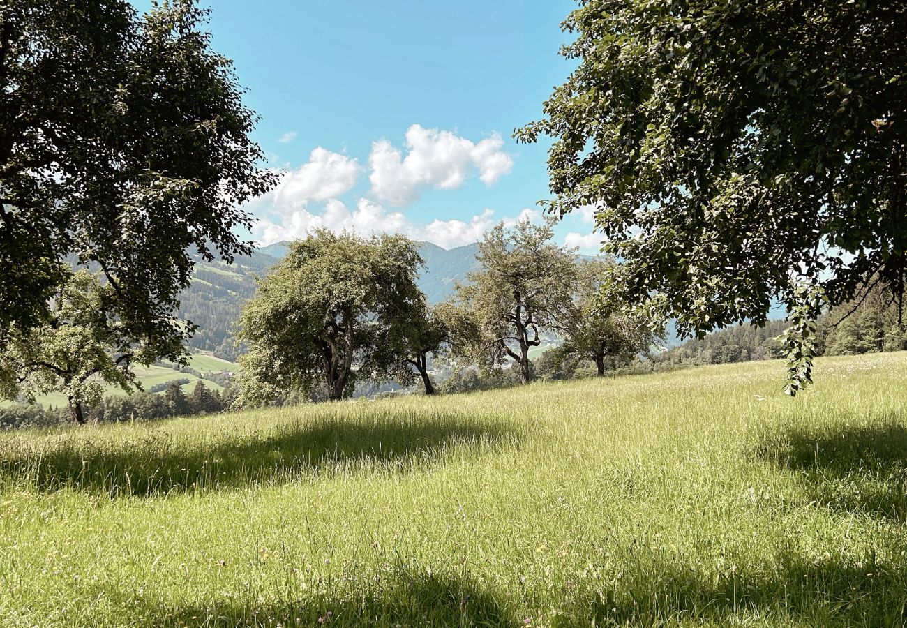 Landhaus in Haus im Ennstal - CHILLHAUS Pear Mountain