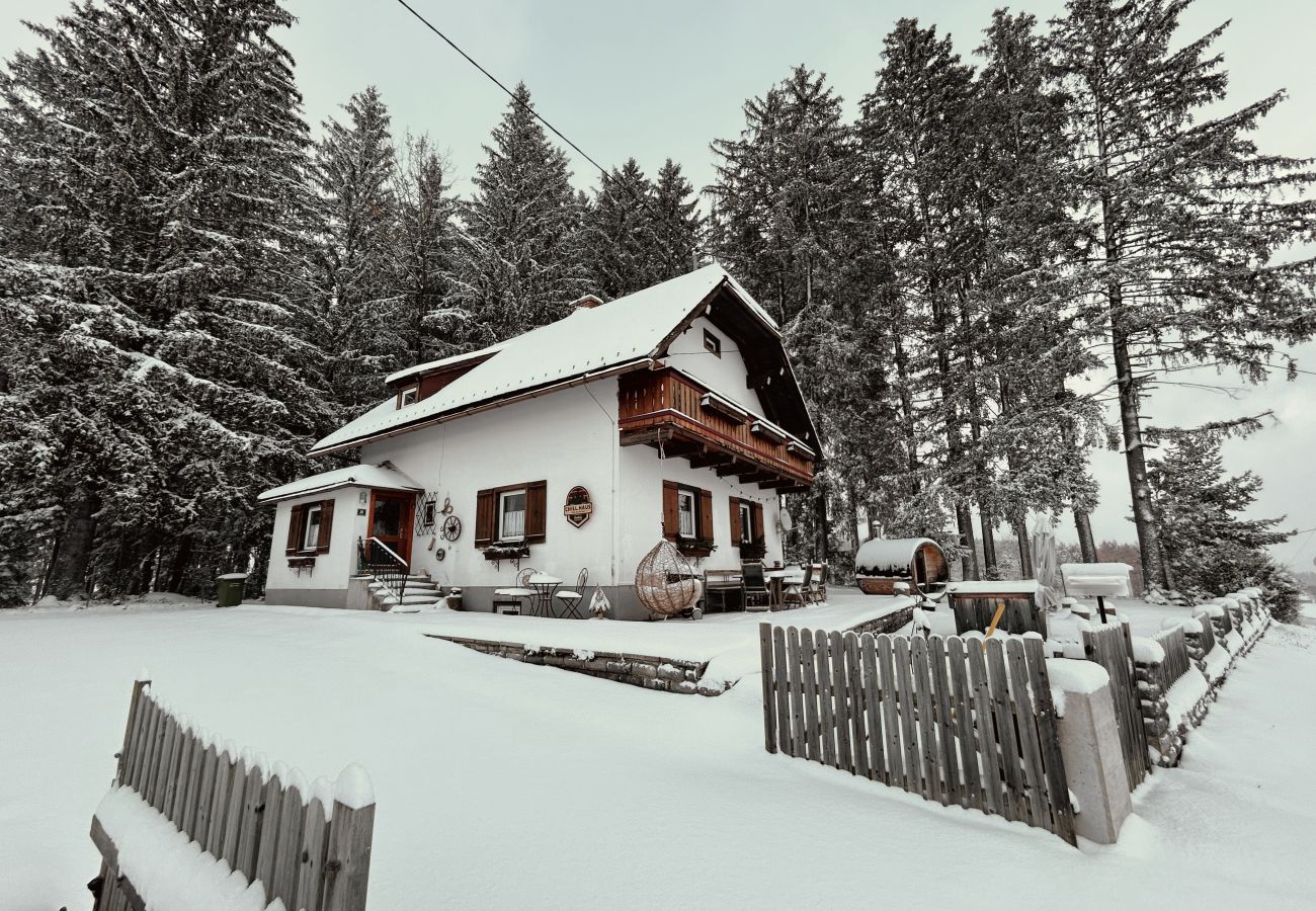 Landhaus in Haus im Ennstal - CHILLHAUS Pear Mountain