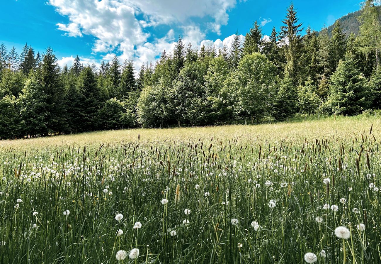 Landhaus in Haus im Ennstal - CHILLHAUS Pear Mountain