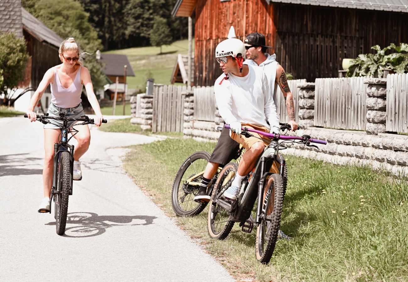 Landhaus in Haus im Ennstal - CHILLHAUS Pear Mountain