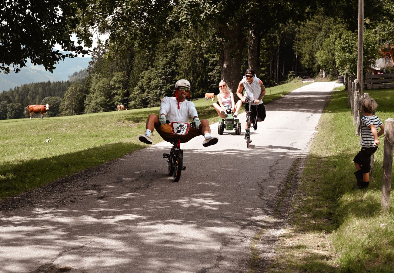 Landhaus in Haus im Ennstal - CHILLHAUS Pear Mountain