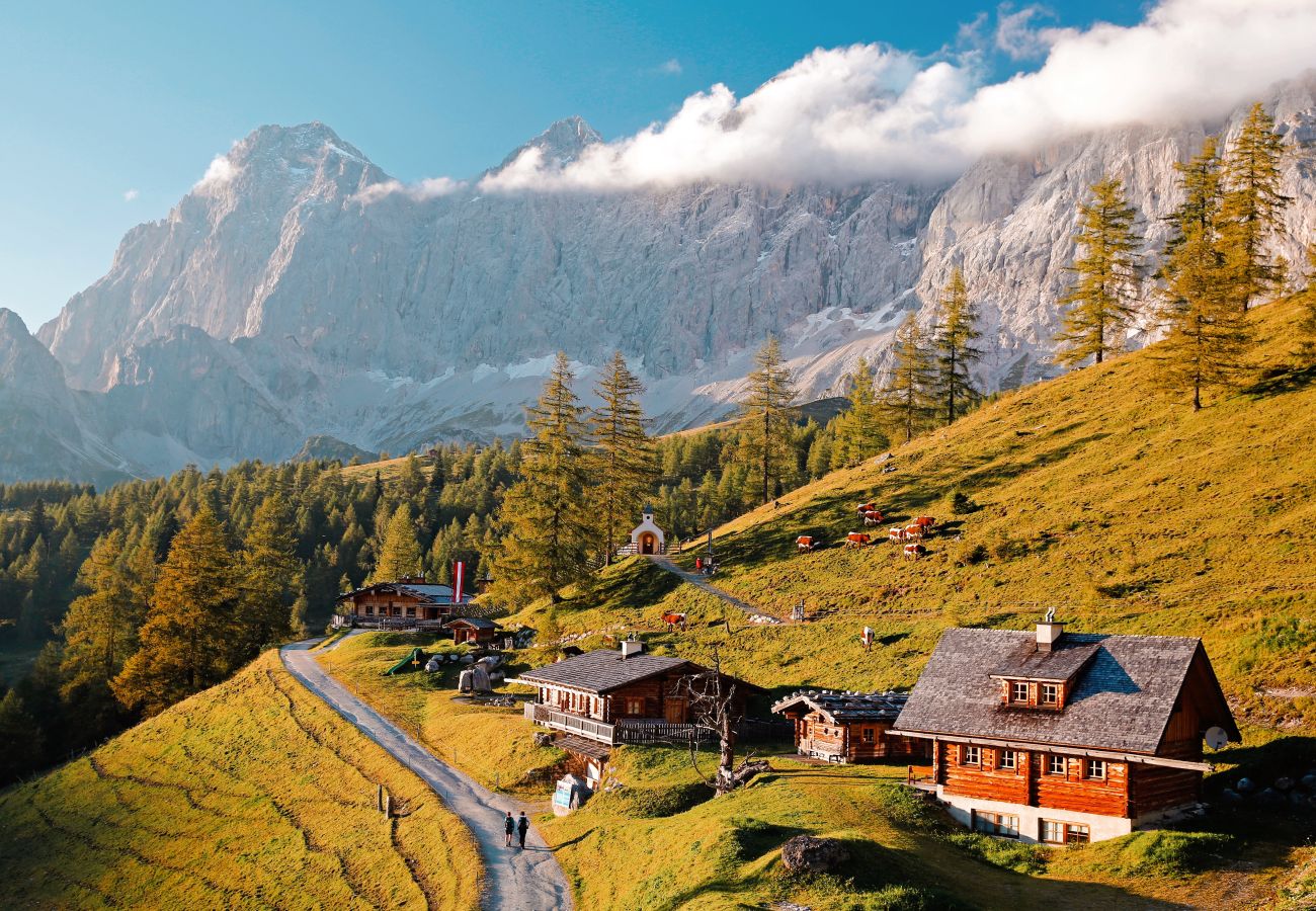 Landhaus in Haus im Ennstal - CHILLHAUS Pear Mountain