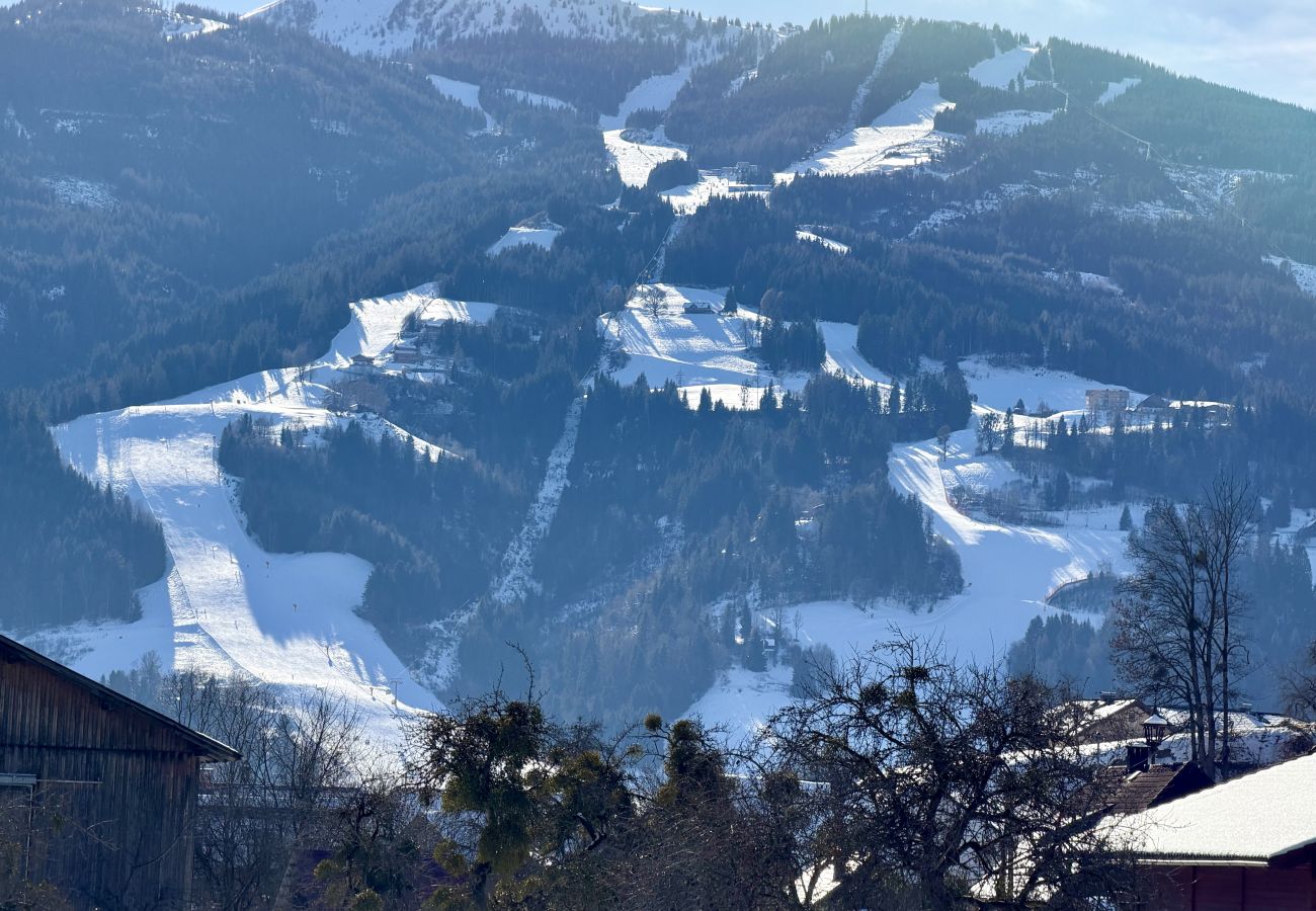 Ferienwohnung in Haus im Ennstal - Feel Free 95 Apartment