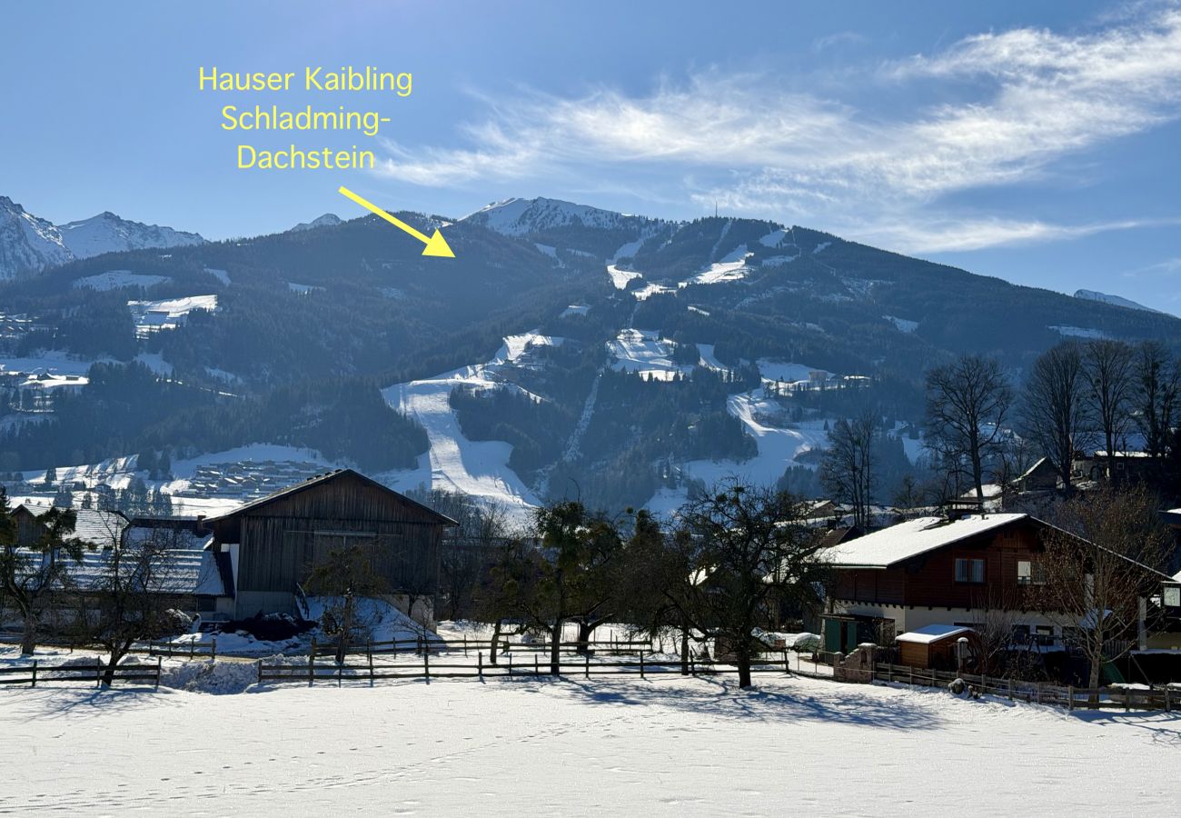 Ferienwohnung in Haus im Ennstal - Feel Free 95 Apartment