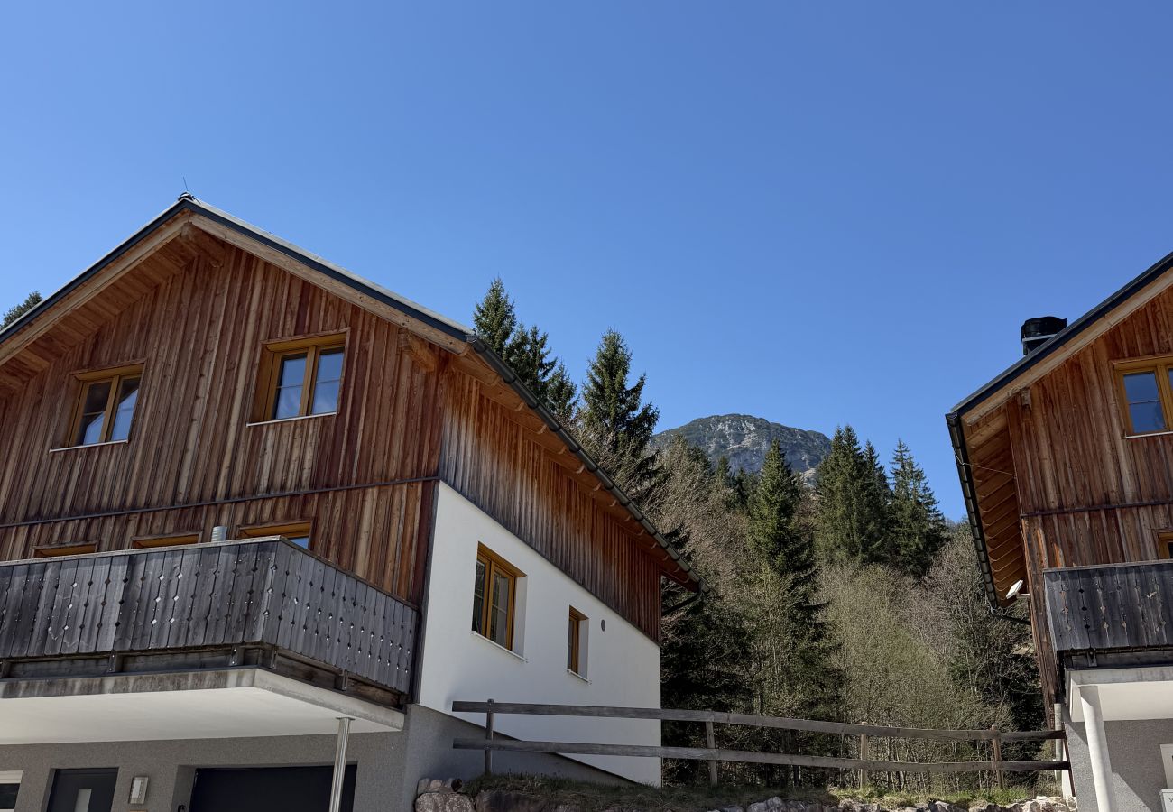 Chalet in Altaussee - Hideaway Chalets Loser - 1