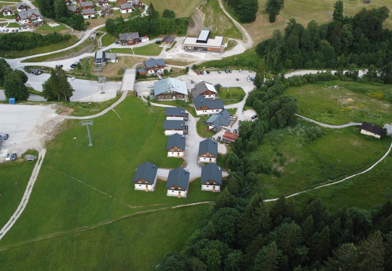 Chalet in Altaussee - Hideaway Chalets Loser - 1
