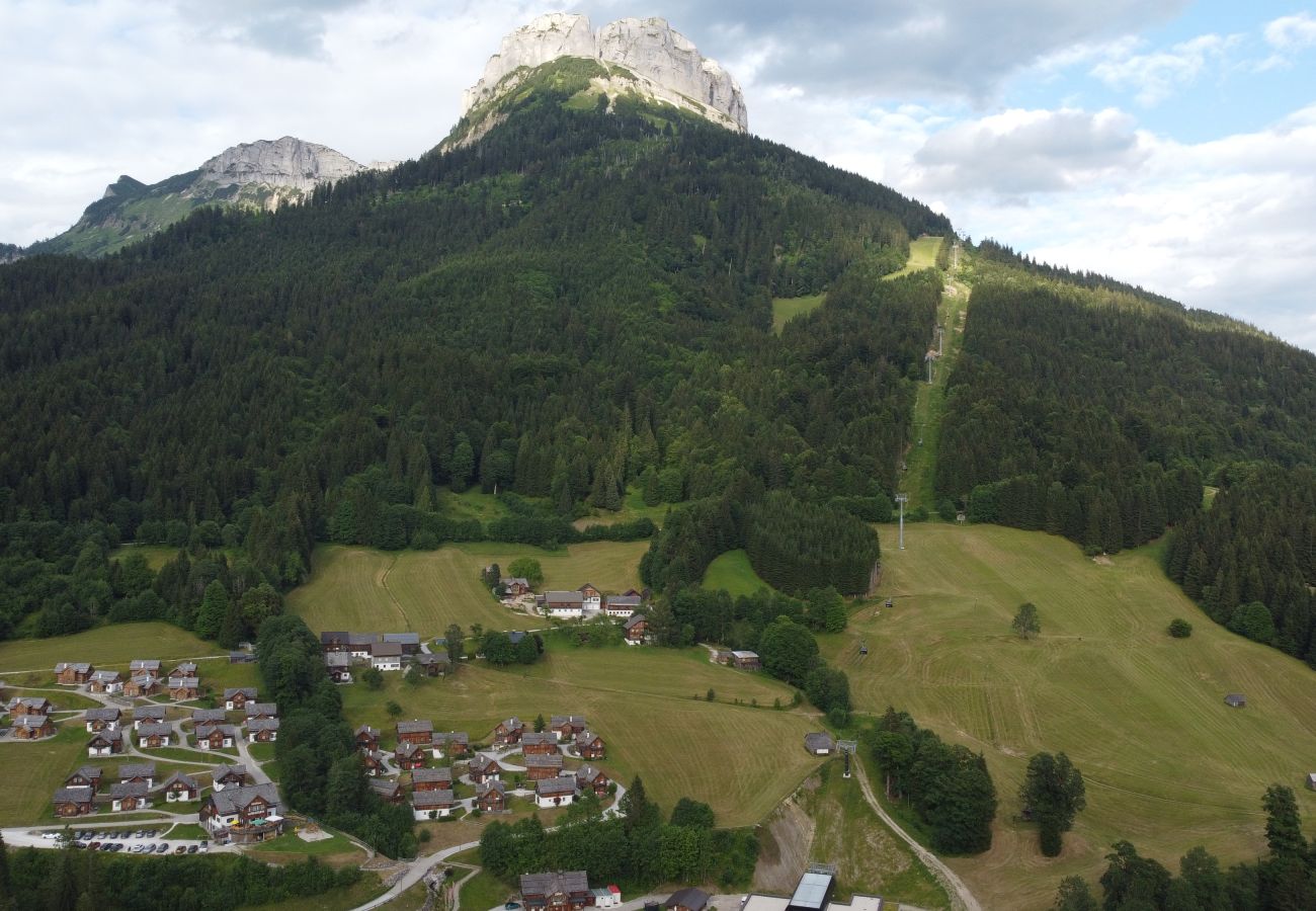 Chalet in Altaussee - Hideaway Chalets Loser - 1