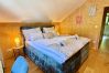 Chalet in Altaussee - Hideaway Chalets Loser - 1