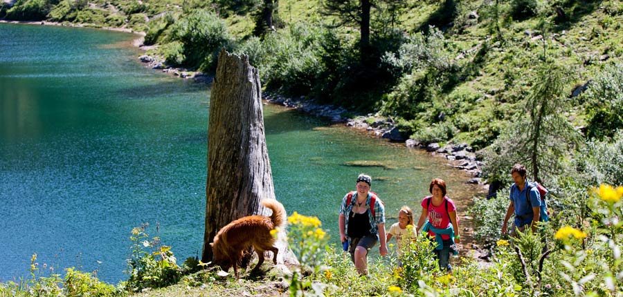 Wandern mit Hund am Steirersee